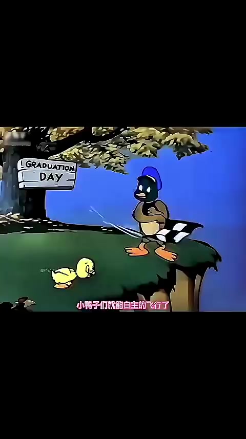 @চিলমারী