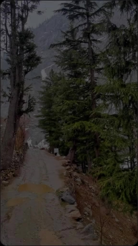 @MADAKLASHT_CHITRAL