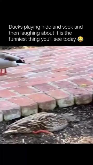 @YankeesMom228x