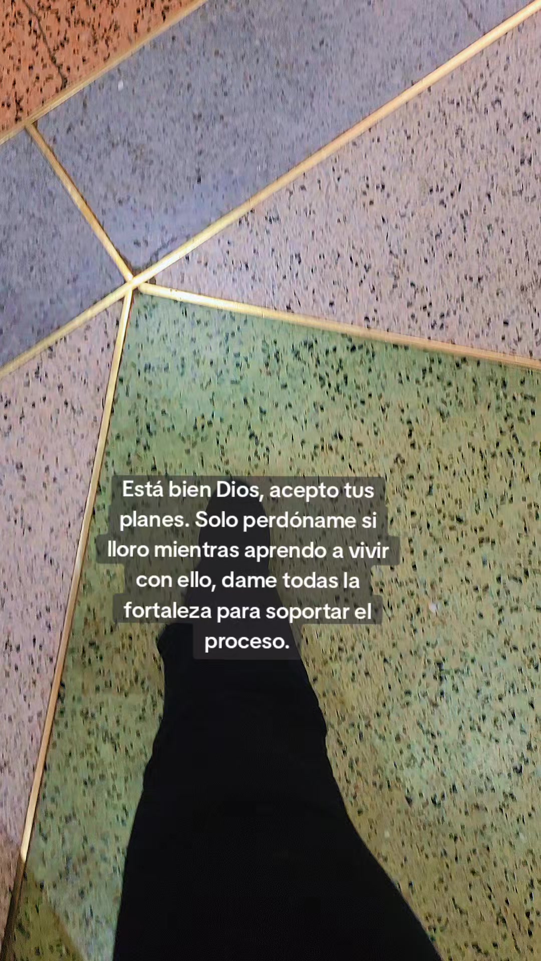 @Ximena Poveda 👻
