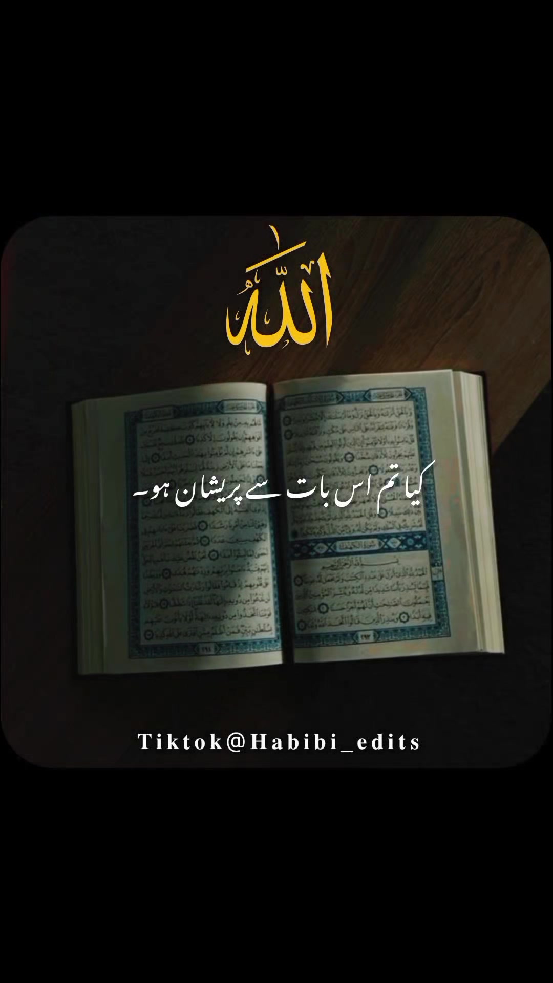 @𝐇𝐚𝐛𝐢𝐛𝐢 𝐞𝐝𝐢𝐭𝐬🌸