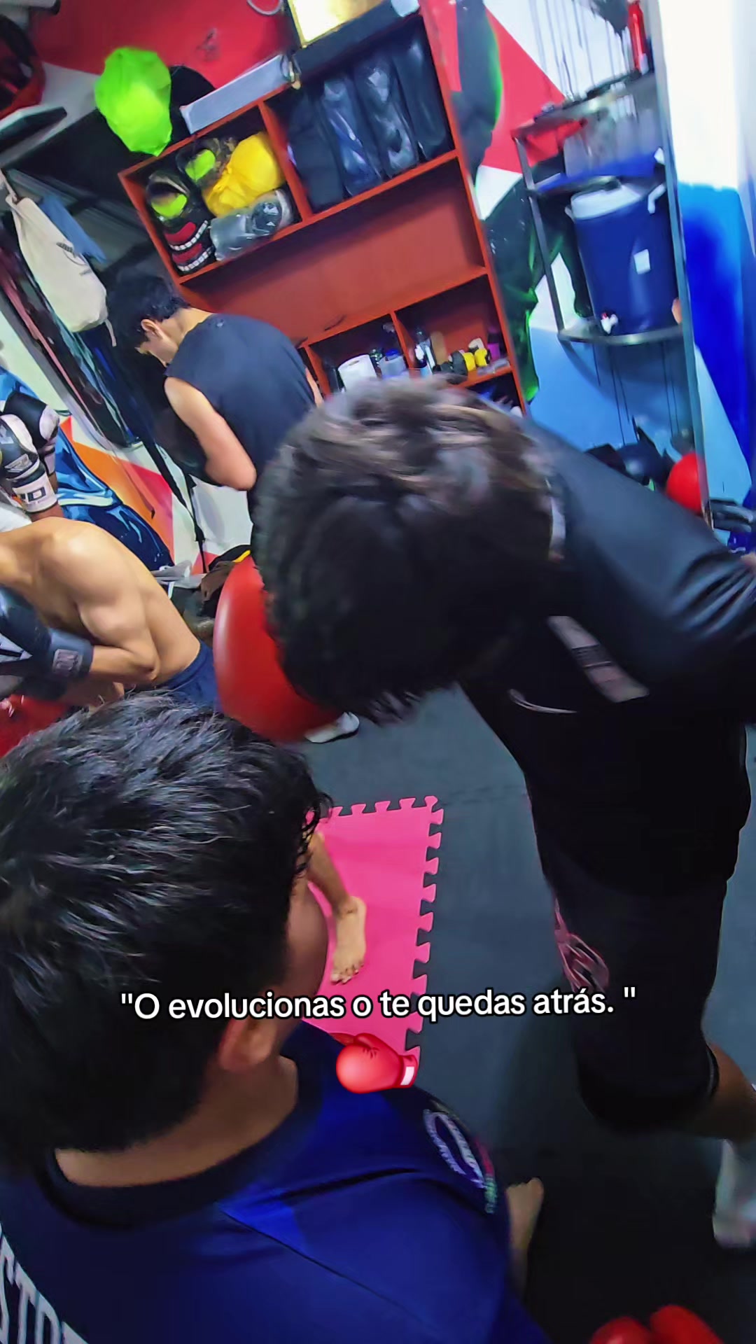 @EL DON K.O.🥊