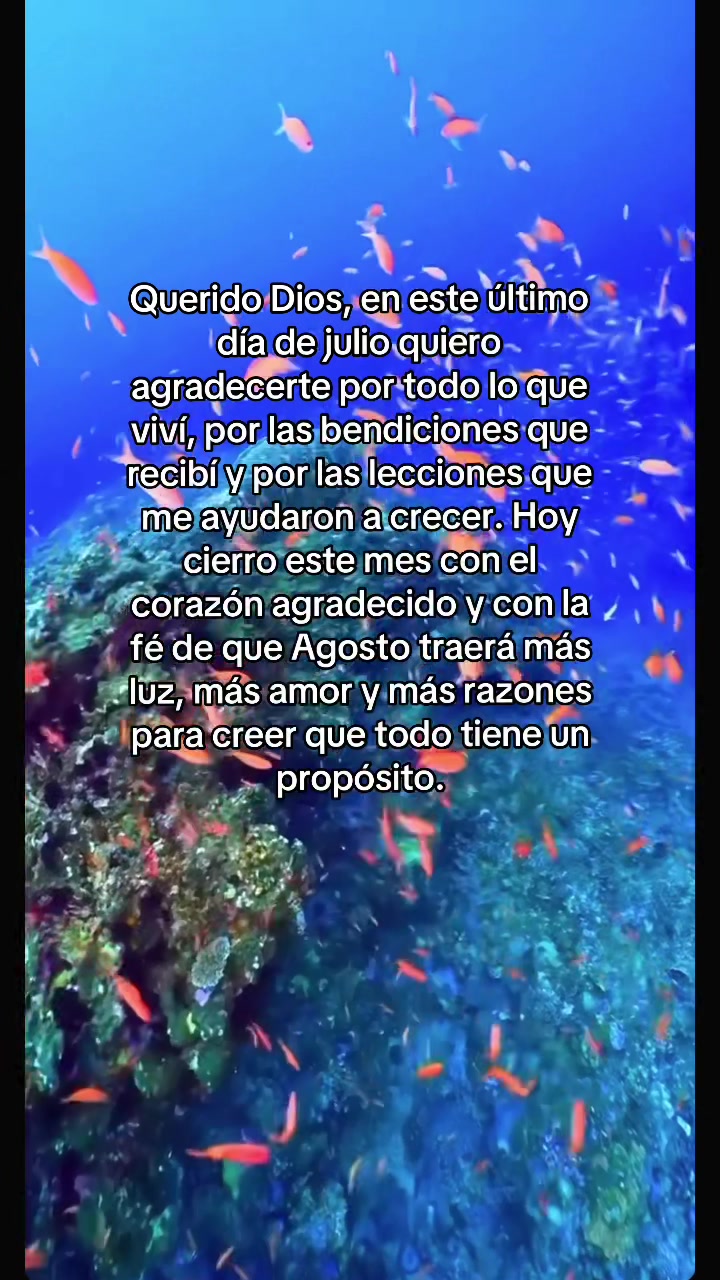 @Jessy Serrano