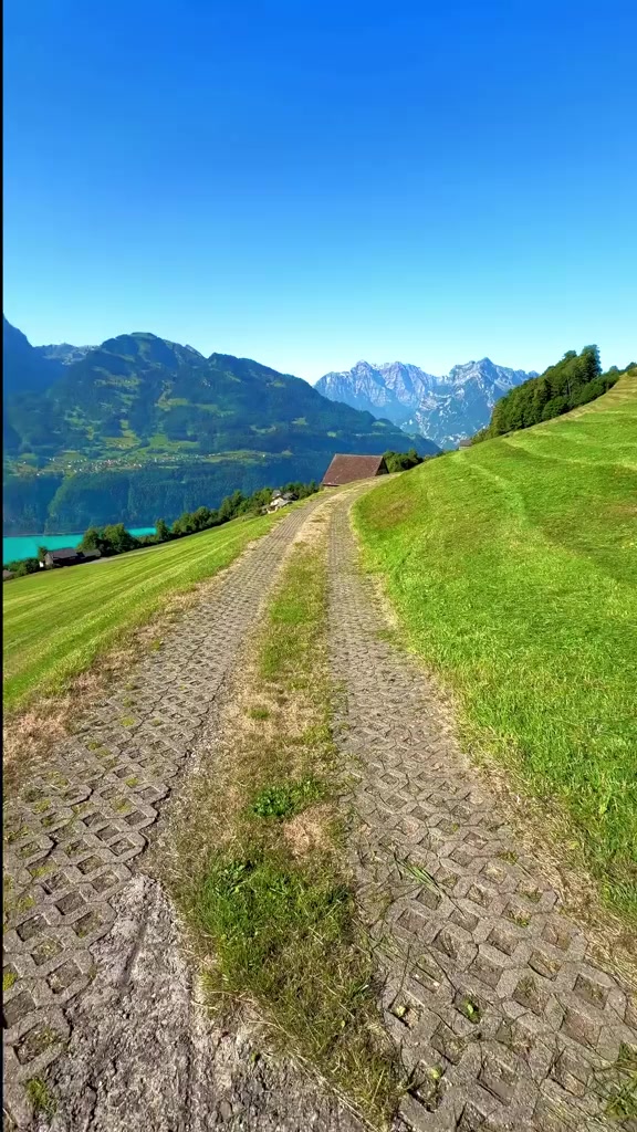 @zehara 🦋🦋🦋🦋