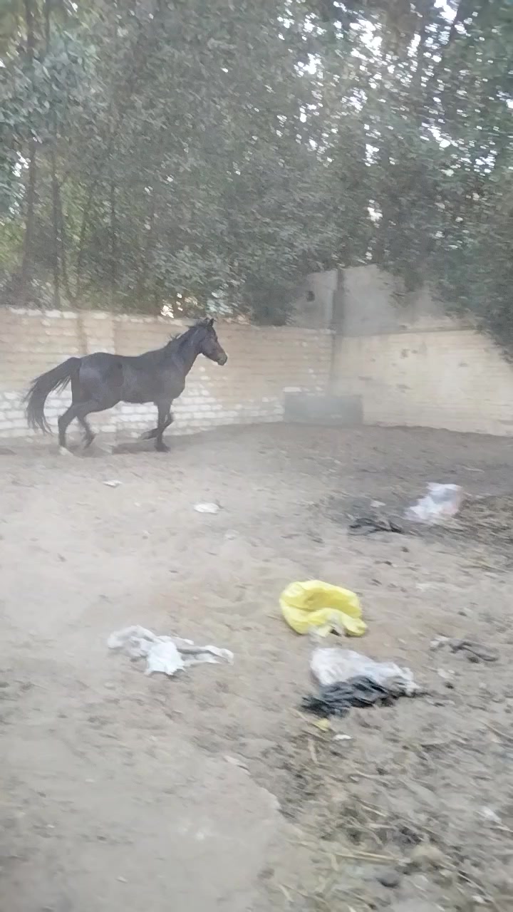 @&Scaron;&AElig;ĮF&Euml;LD&Scaron;&Oslash;&Oslash;K&Yuml;