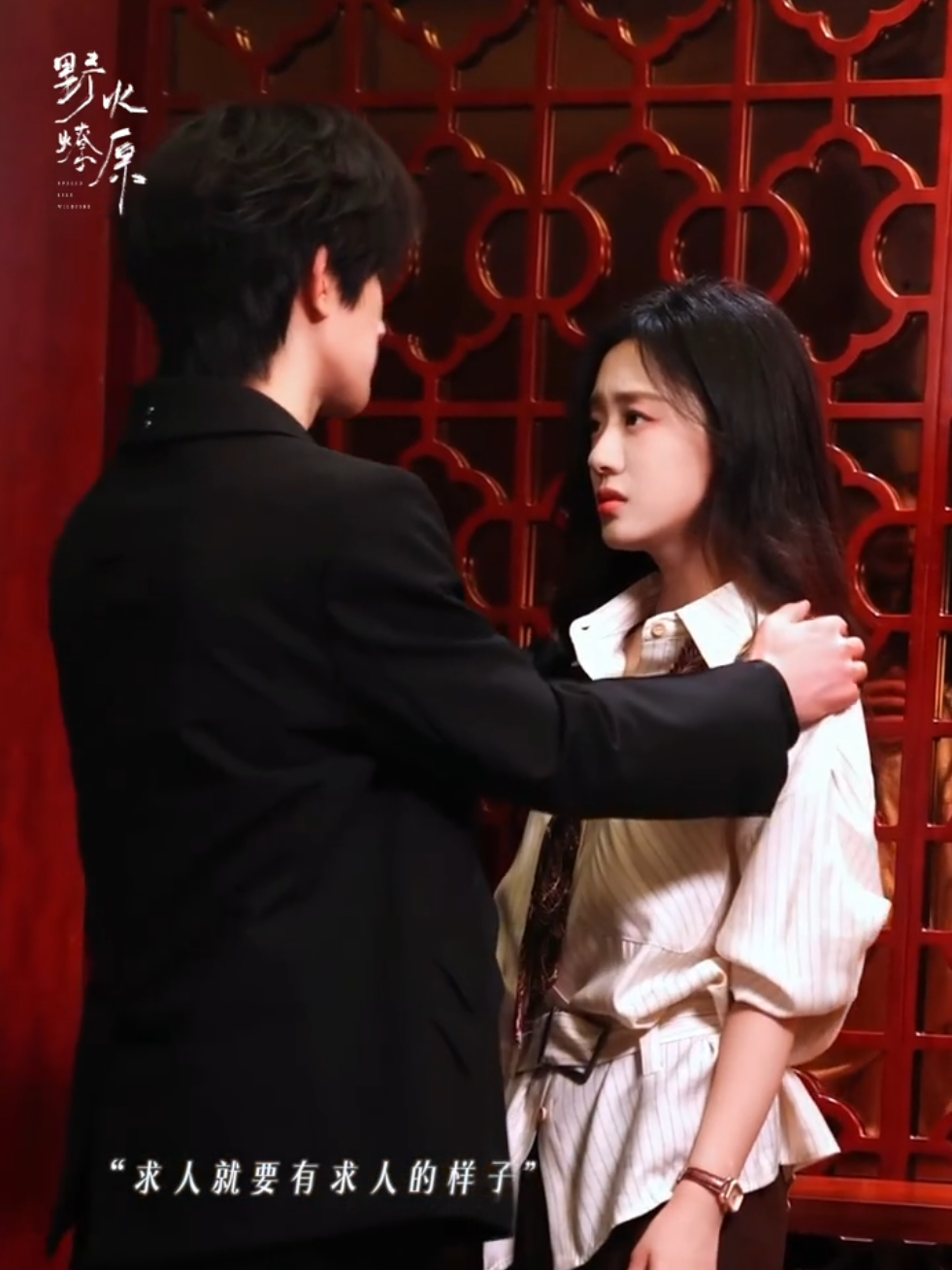 @🐬Trần Nguyễn Kiến Bình ❤️