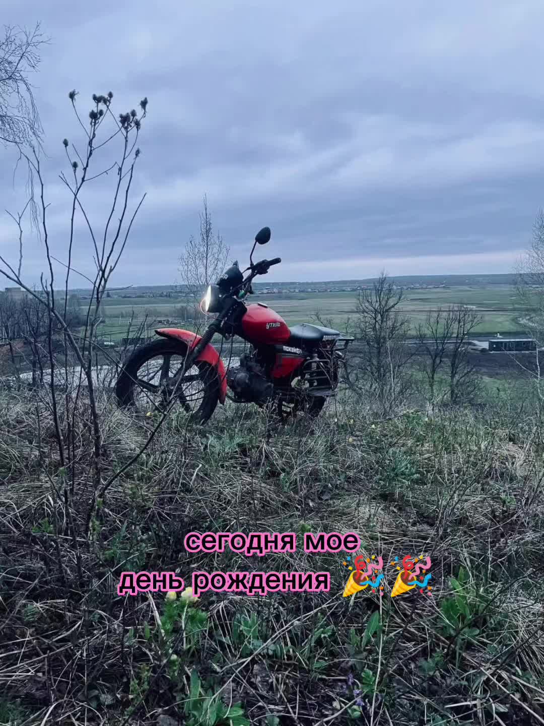 @Арбитраж трифика