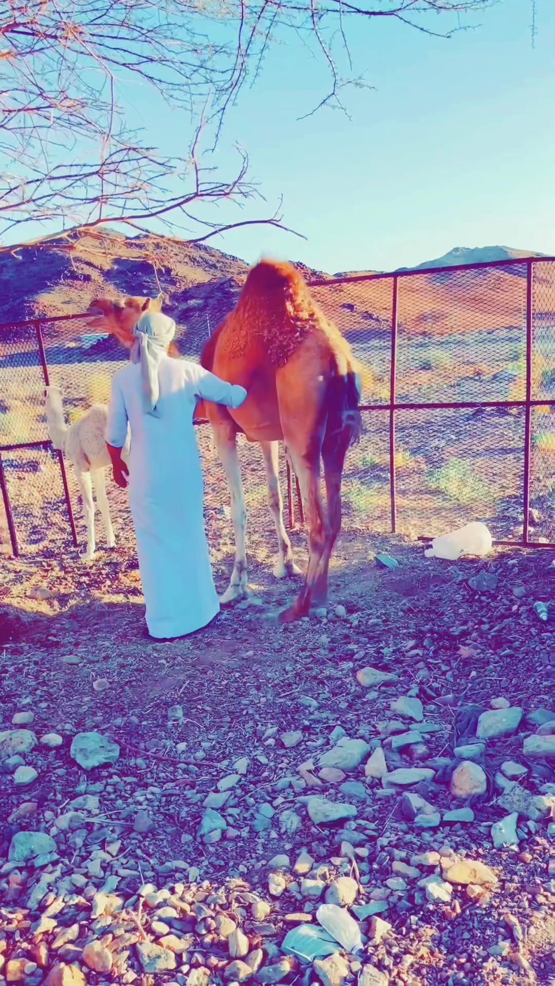 @سليمان البلوي