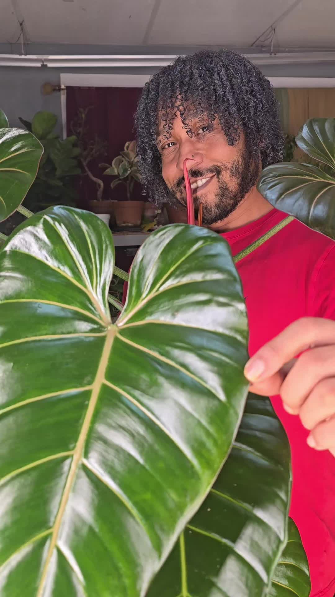 @JT - BigEGOPlants