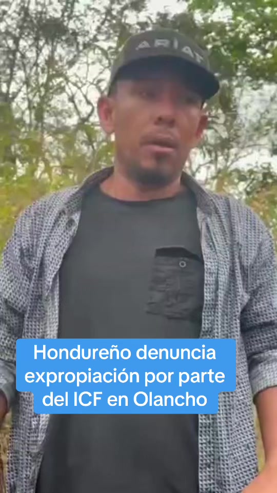@Guayape TV