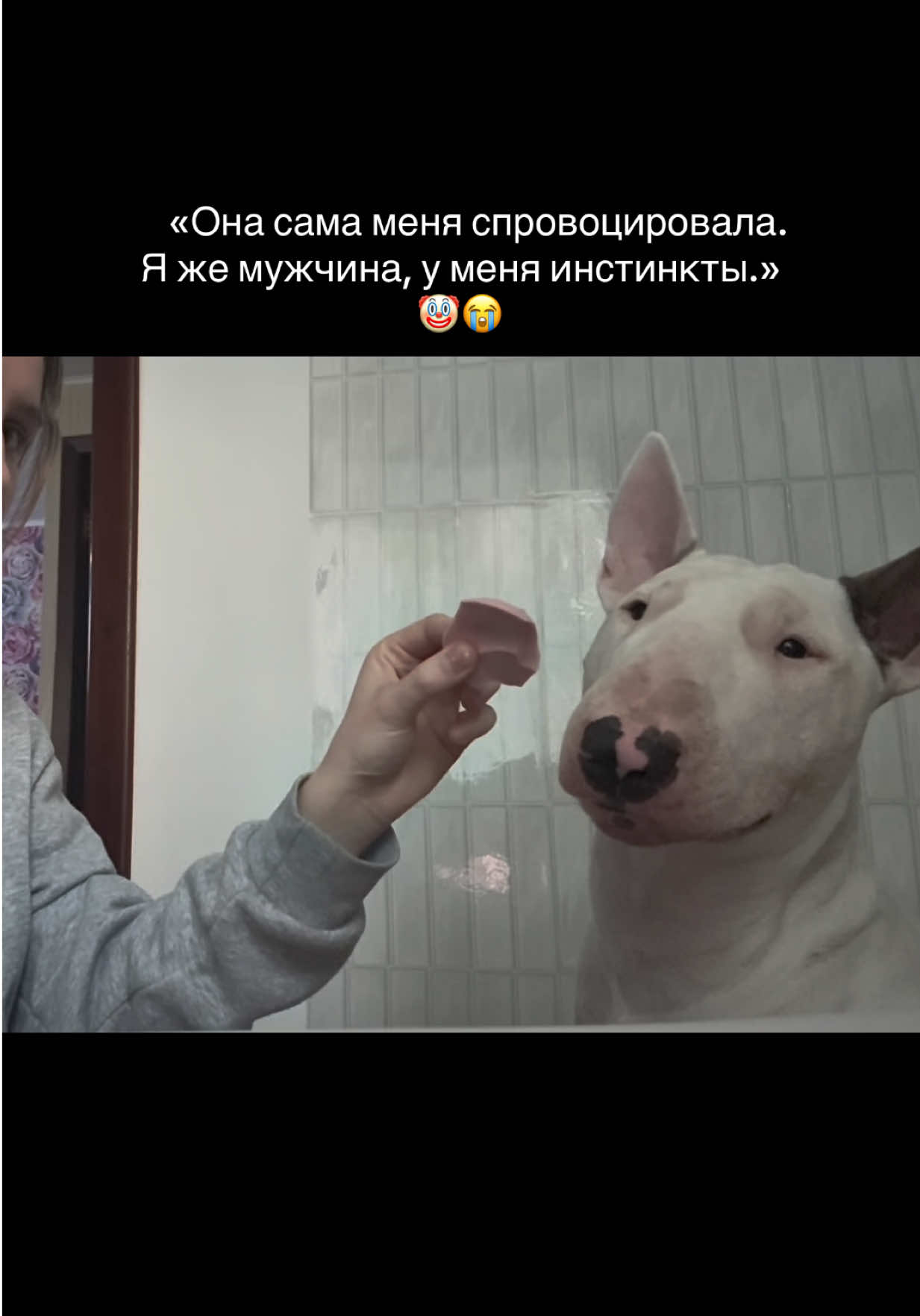 @пикми Ричард