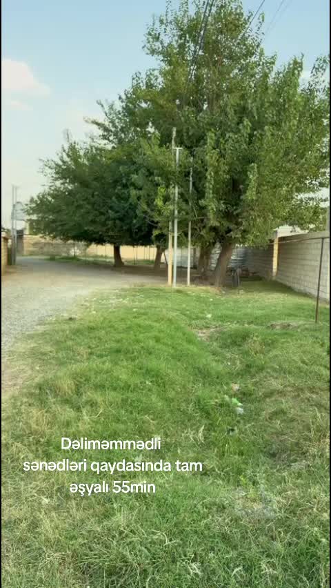 @Aliasker