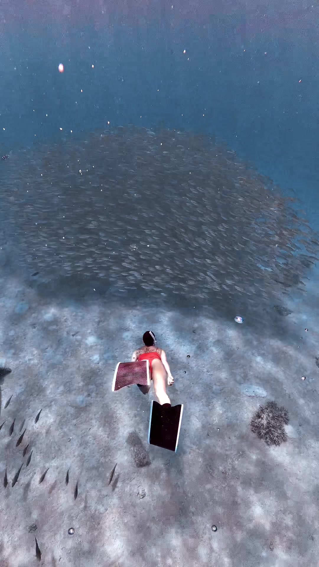 @Love Freediving Nha Trang