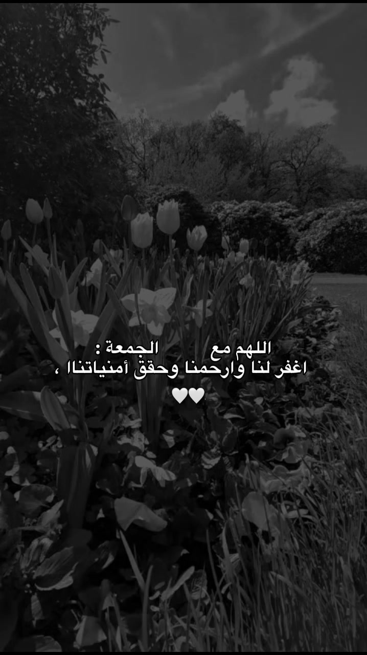 @حُِلَوᤤةۘةۘ أآࢦمَلامَحُِ┊💚