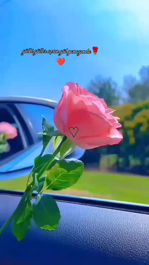 @Sibel.     27