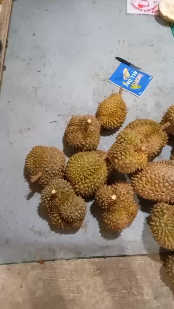@Store durian simadep
