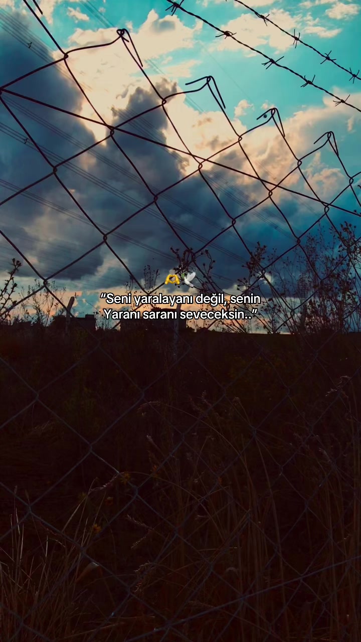 @𝑩&uuml;𝒏𝒚𝒂𝒎𝒊𝒏⚡️