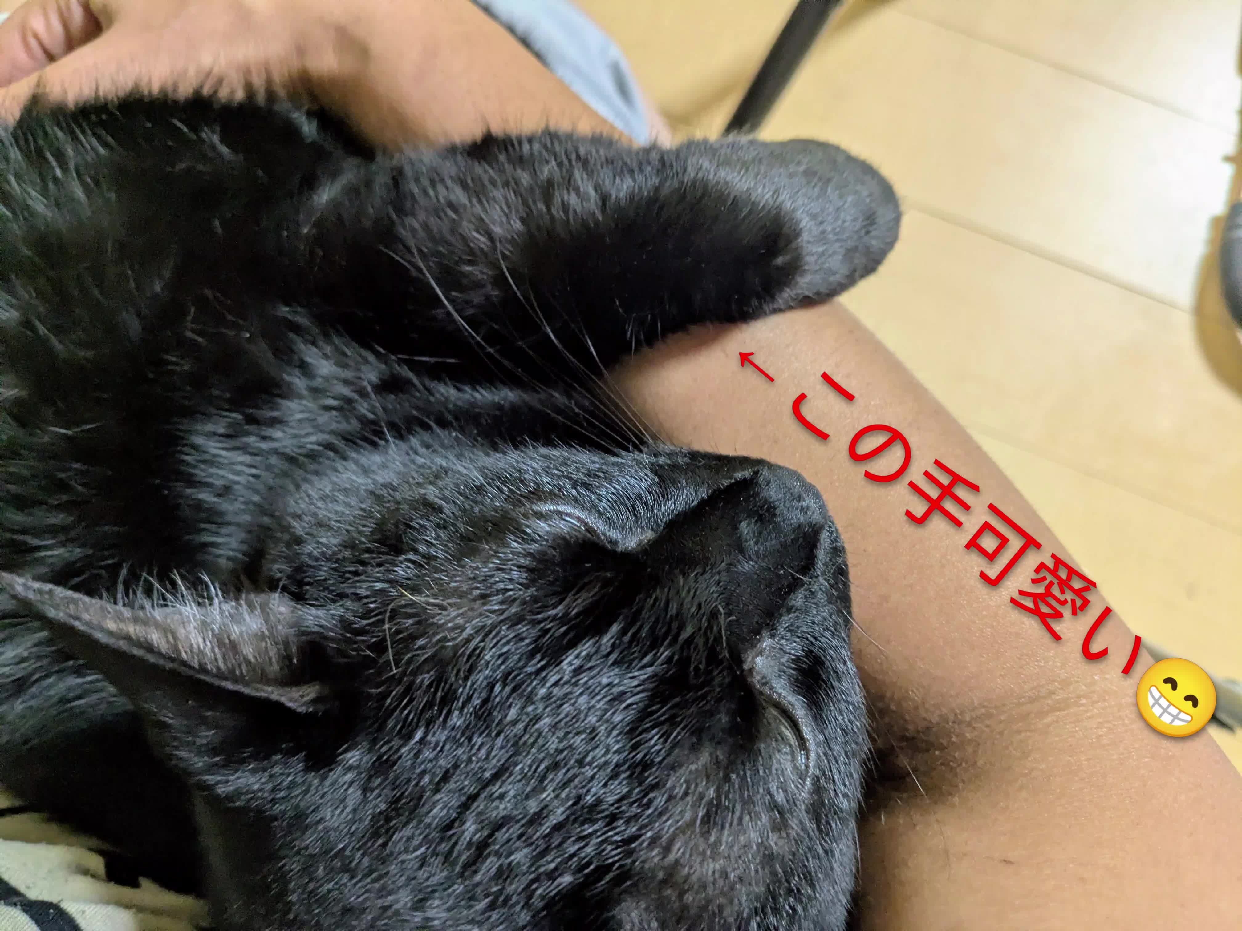 @キュキュ