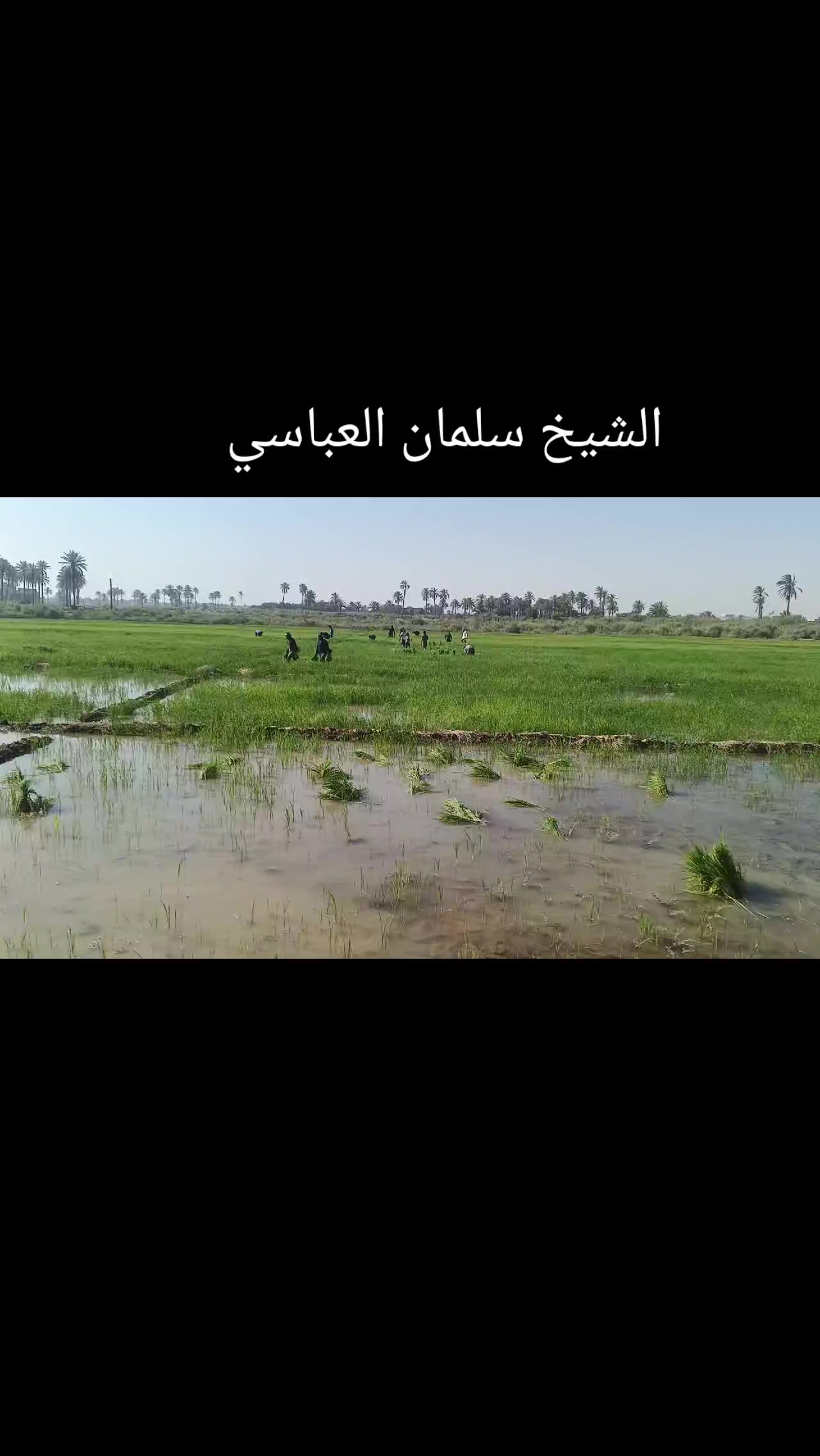 @ابو سلمان العباسي