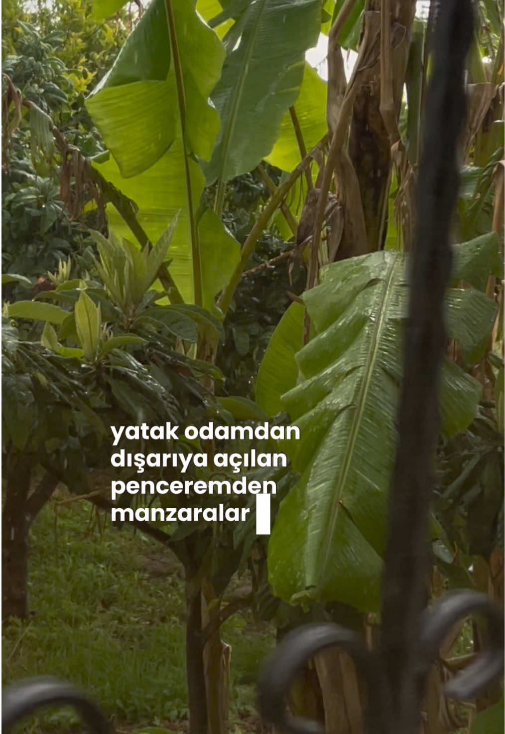 @Kılıç Kraliçesi