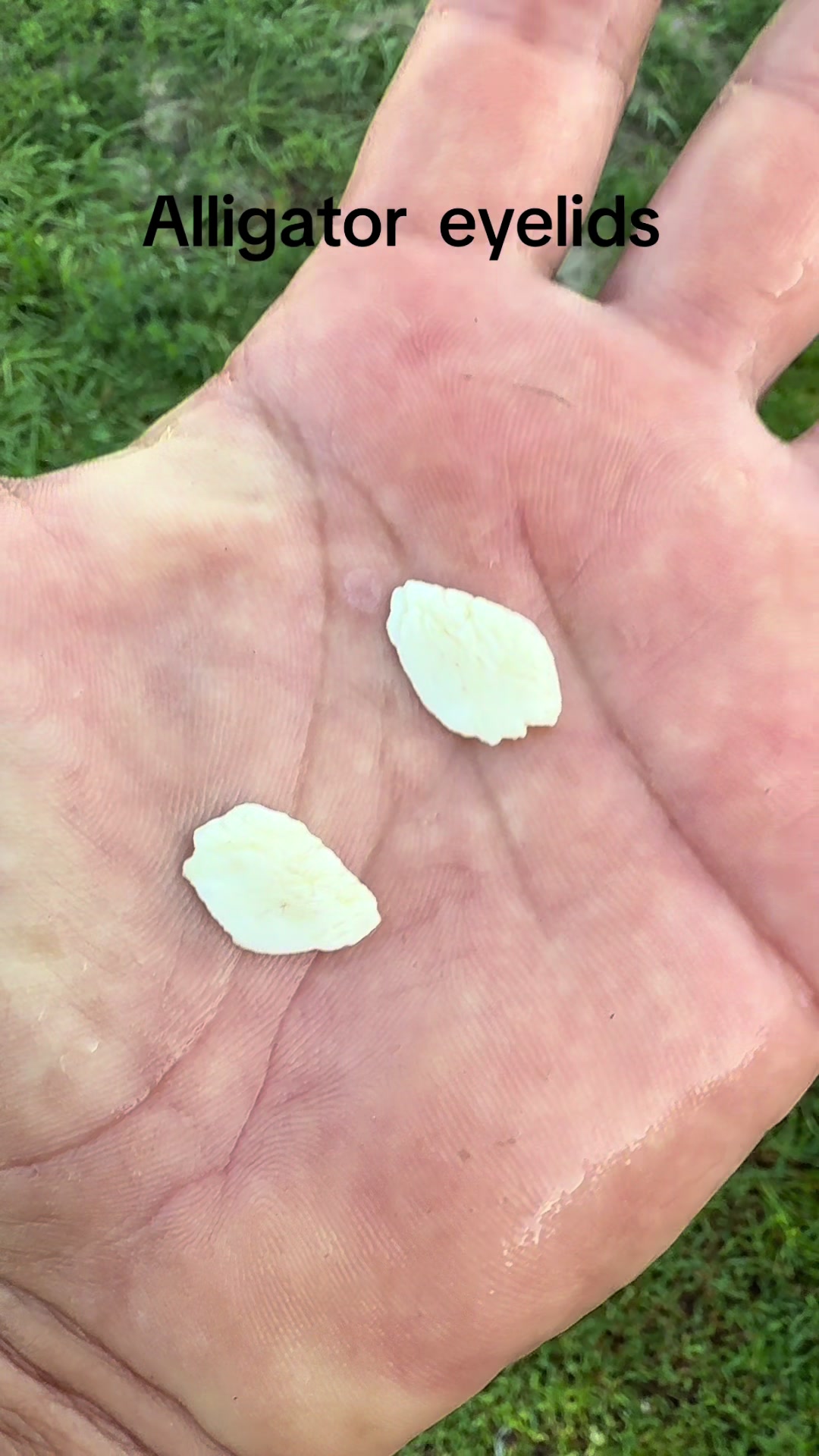 @Immortal Catch