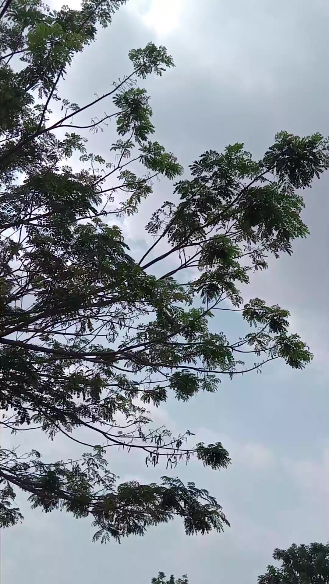 @ArifKingkong_