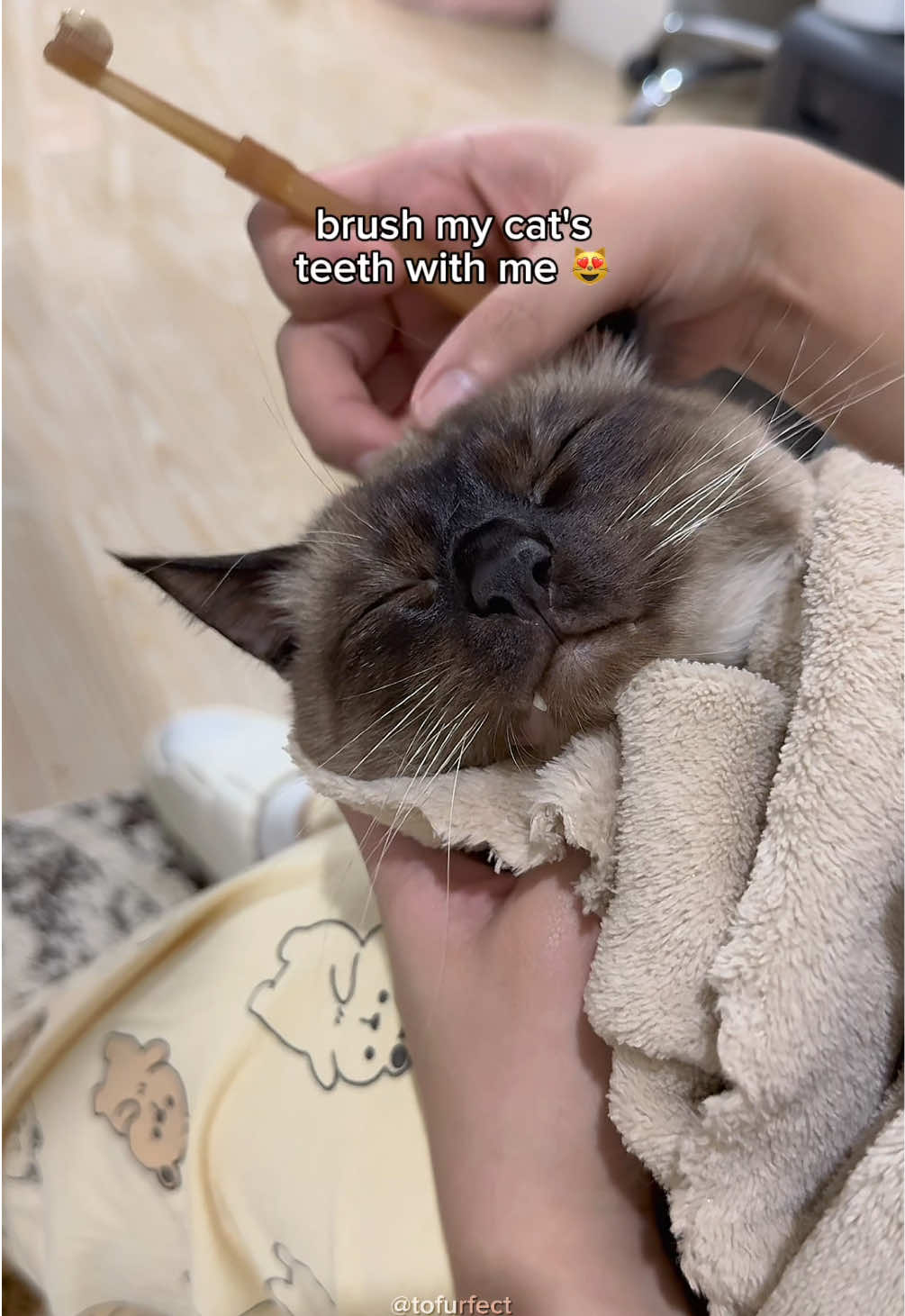 @TOFU