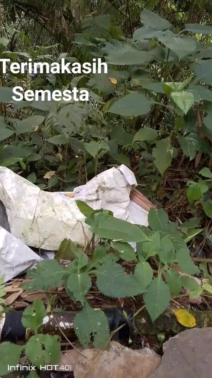 @majoen
