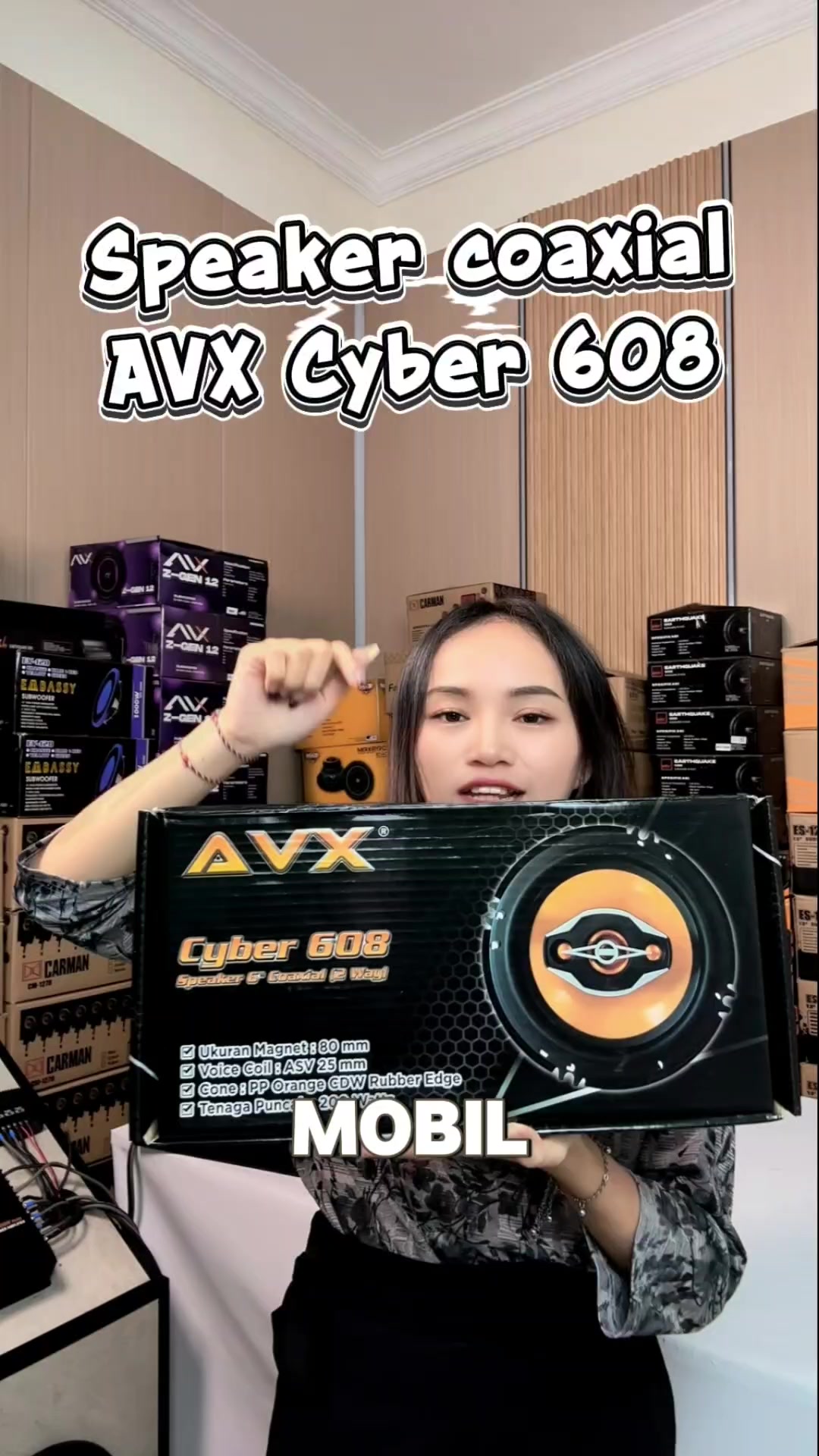 @JV Monster Car Audio Store