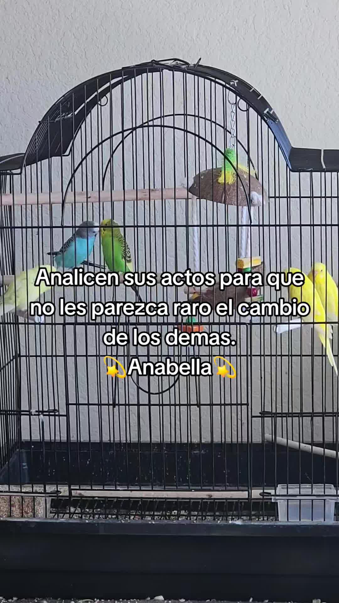 @🪬🫶🧿Anabella🪬🫶🧿