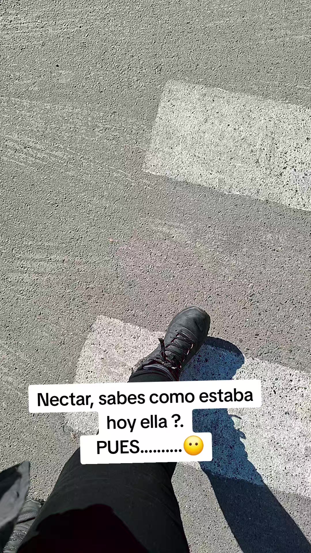 @JAZMIN RAMIREZ CANO 🕷