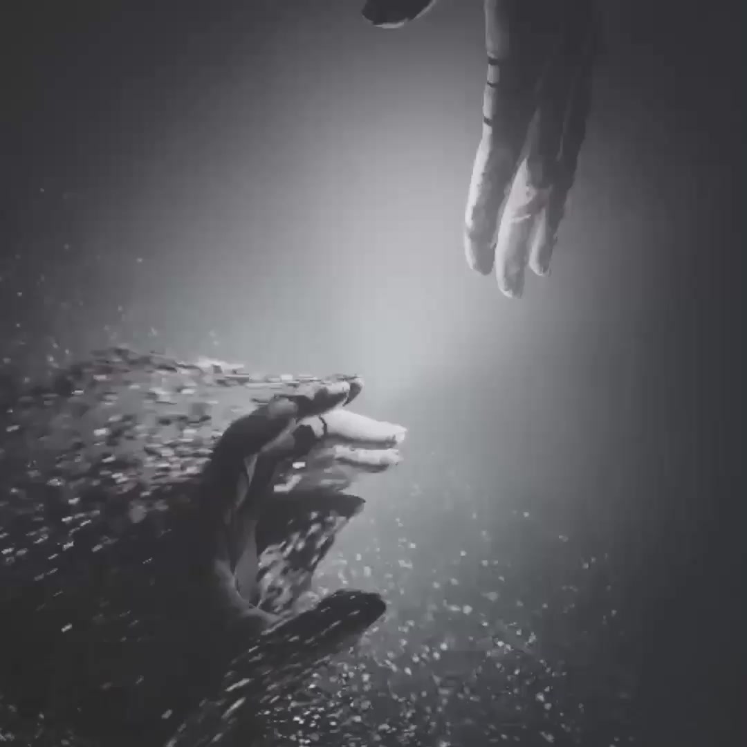 @𝐫𝐞𝐞𝐛𝐬.𝐞𝐝𝐢𝐭𝐬 🕸️