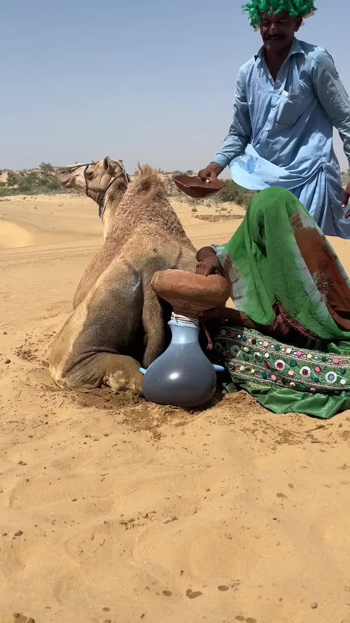 @Sakina 🐪