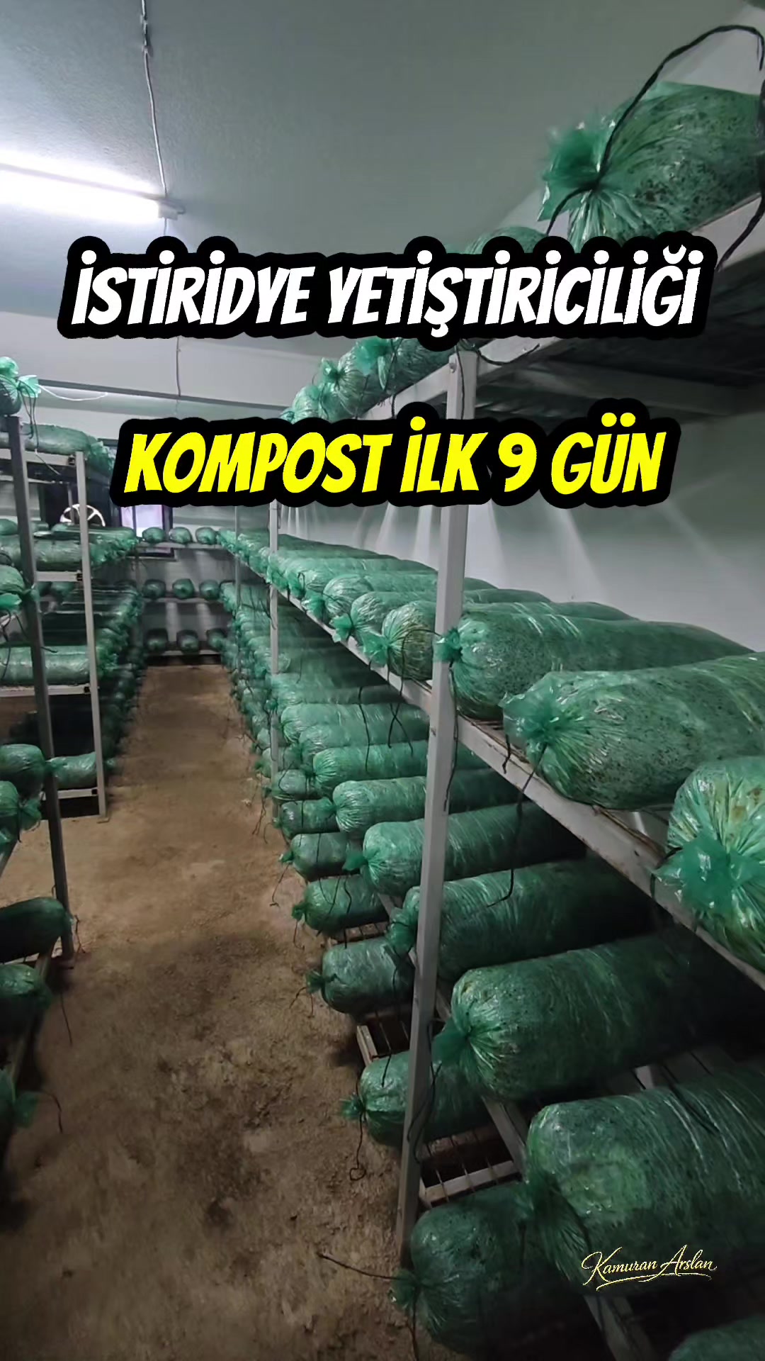 @Kamuran Arslan