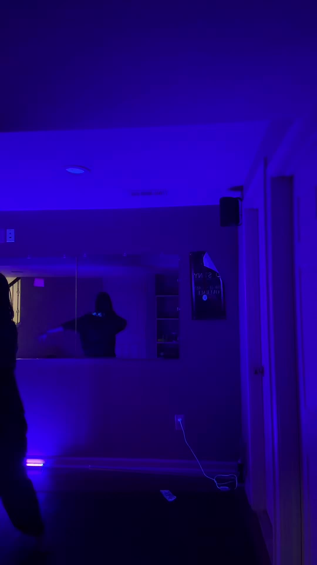 @galaxywolfgirl12345