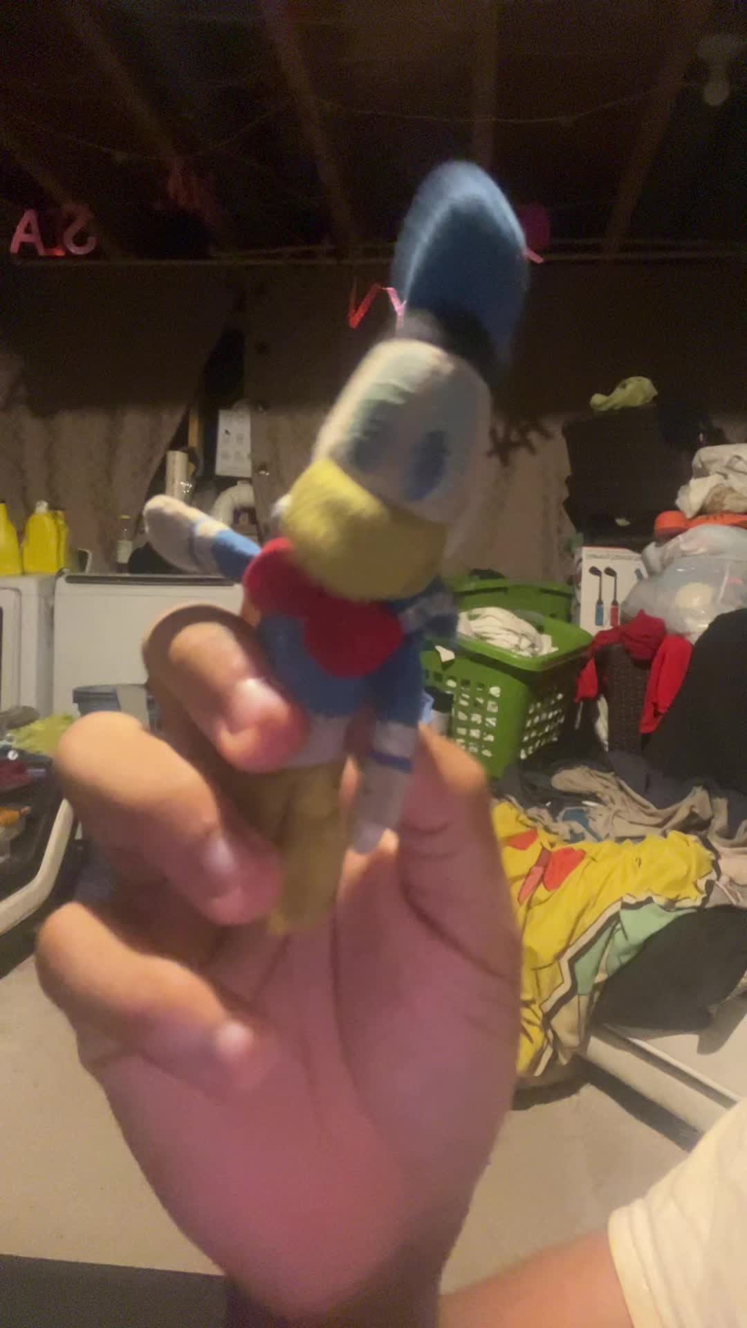 @Donald Duck