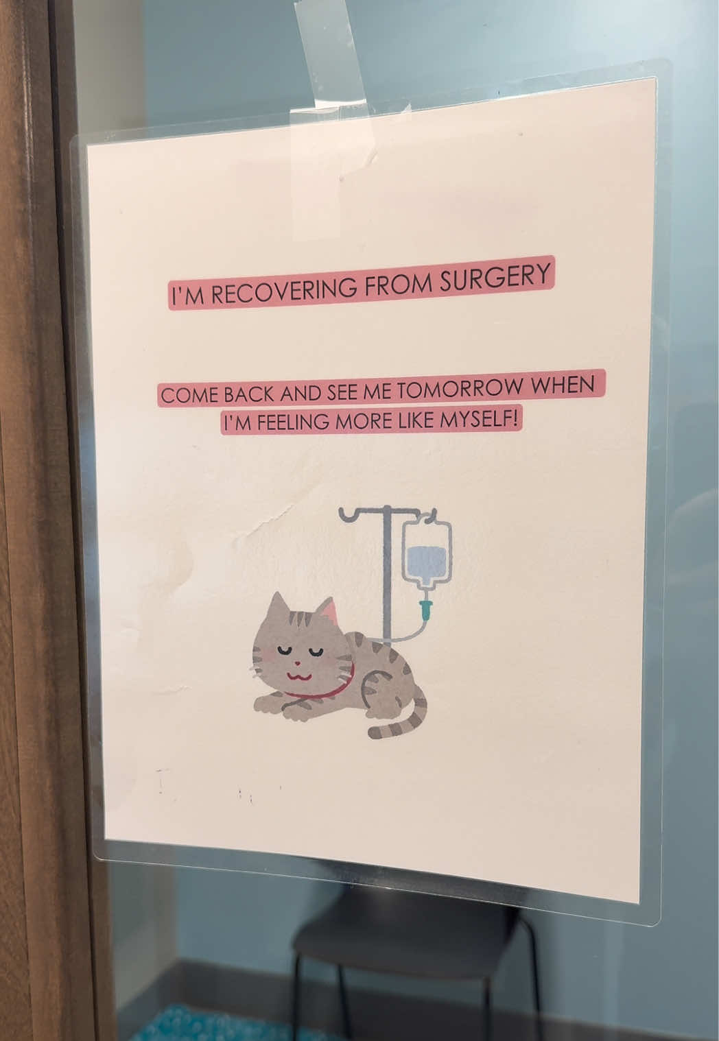 @Animal Friends Alliance