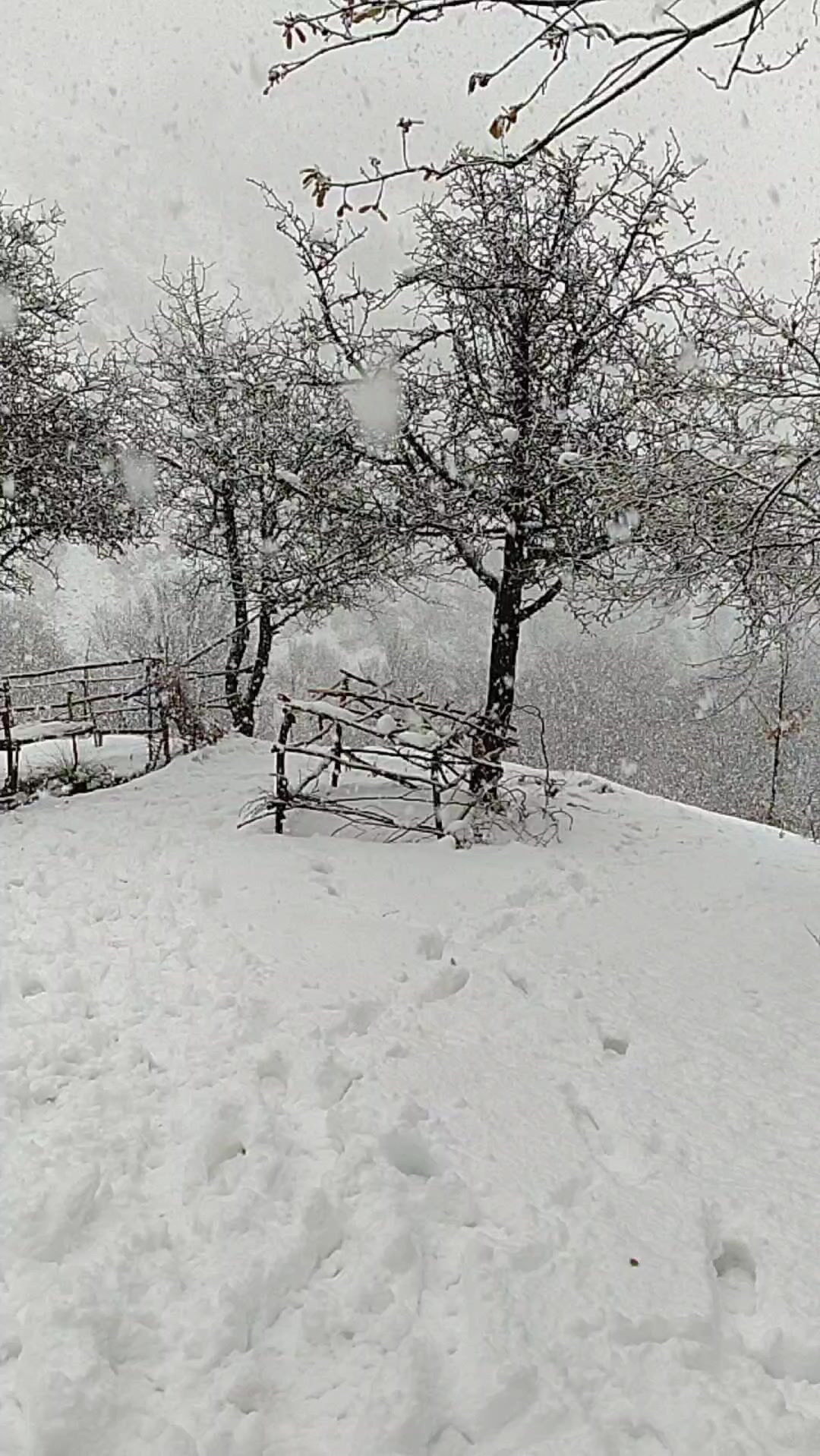 @Ahmet Çıkrıkçı