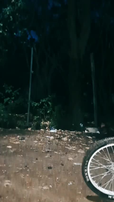 @ℭ𝔯𝔦𝔰_ᴋᴛᴘᴜʟsᴀʀ🔥