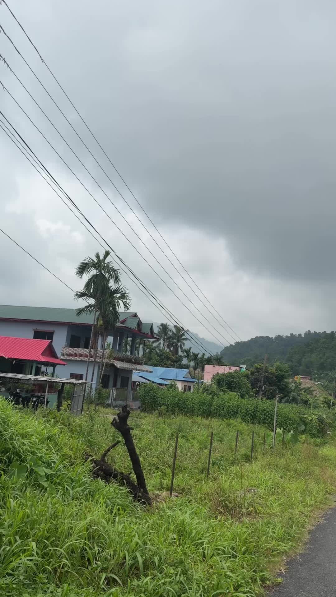 @Dilu Gurung