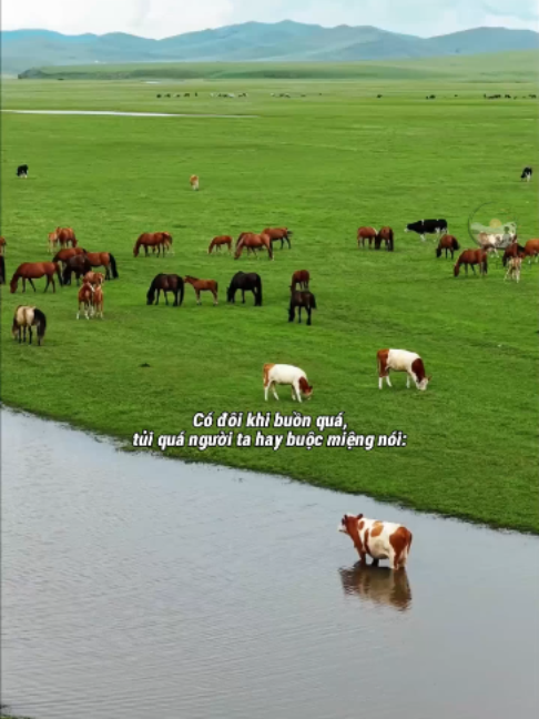 @Sống Chậm Lại