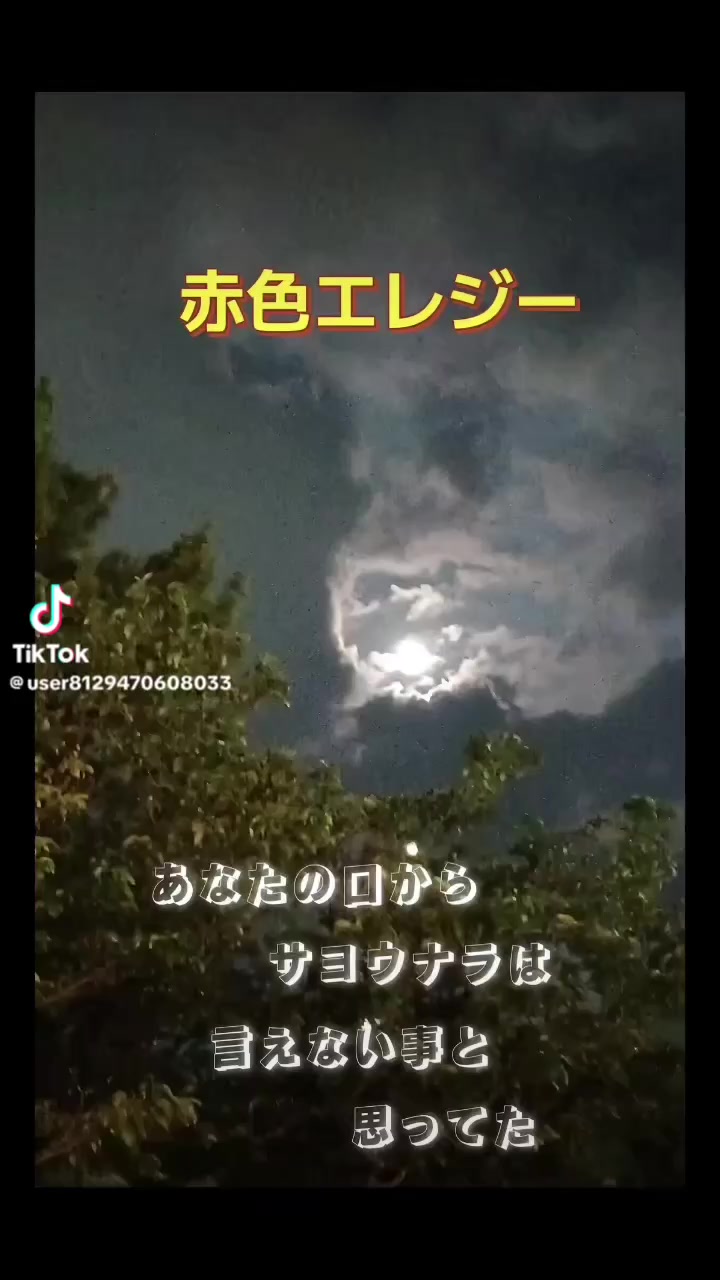 @クワガタ好きな爺さん