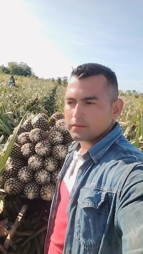 @Andres Godoy