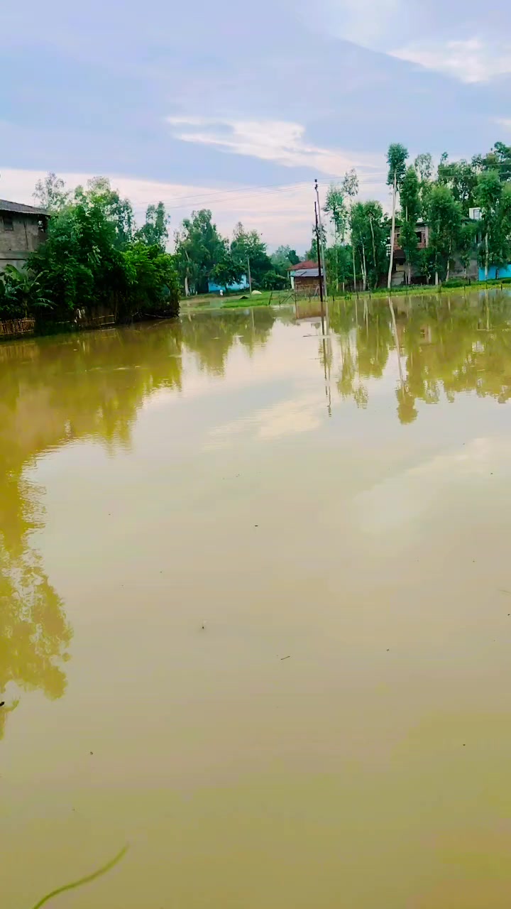 @Raushan yadav