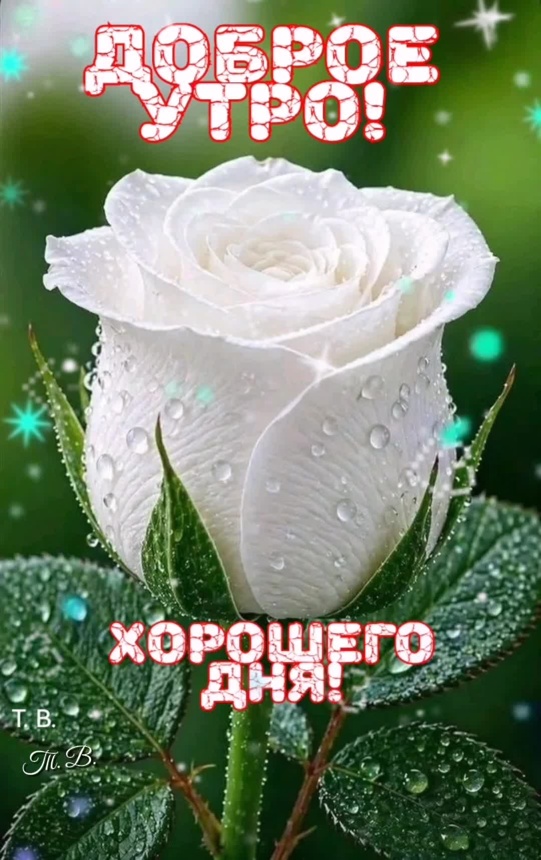 @Татьяна