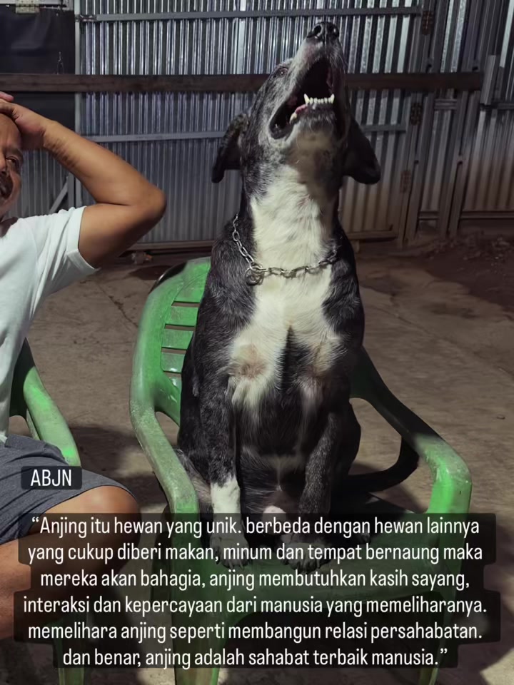 @indonesian_dog_lover