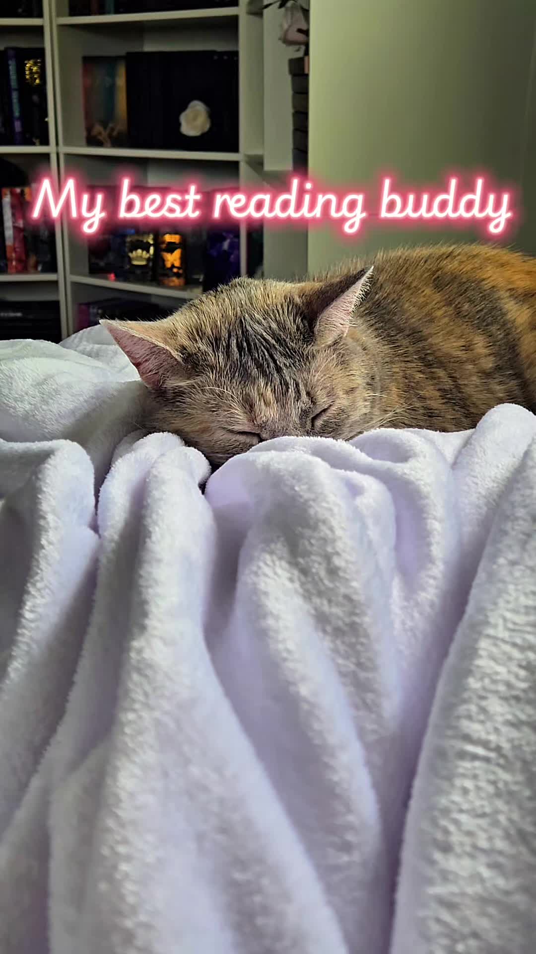 @Meg | Books 🖤🐈&zwj;⬛