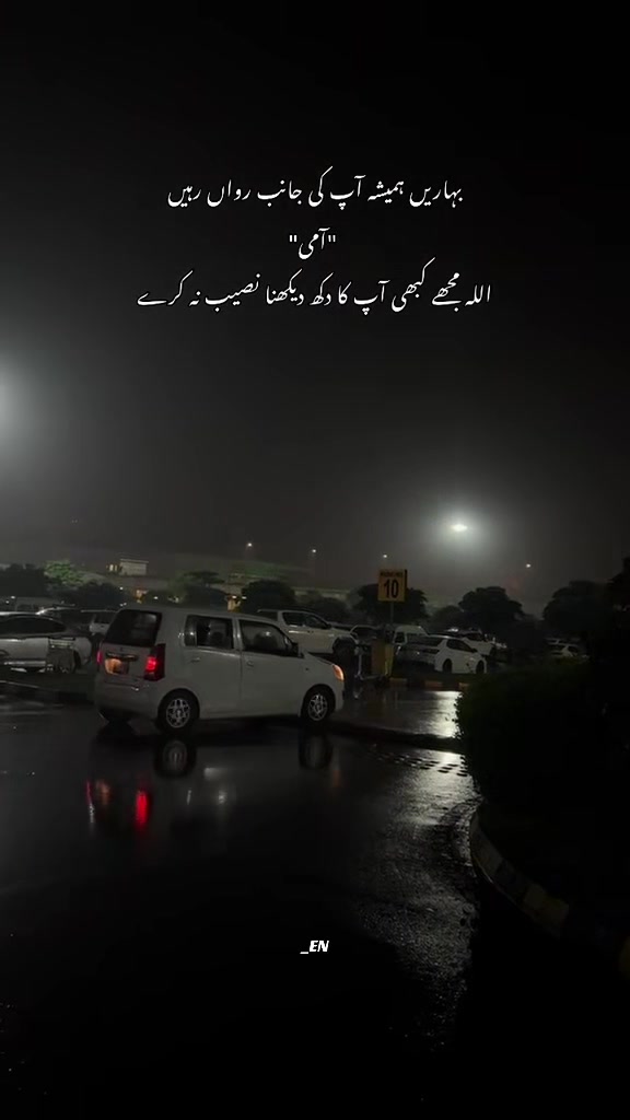 @Eman Niazi