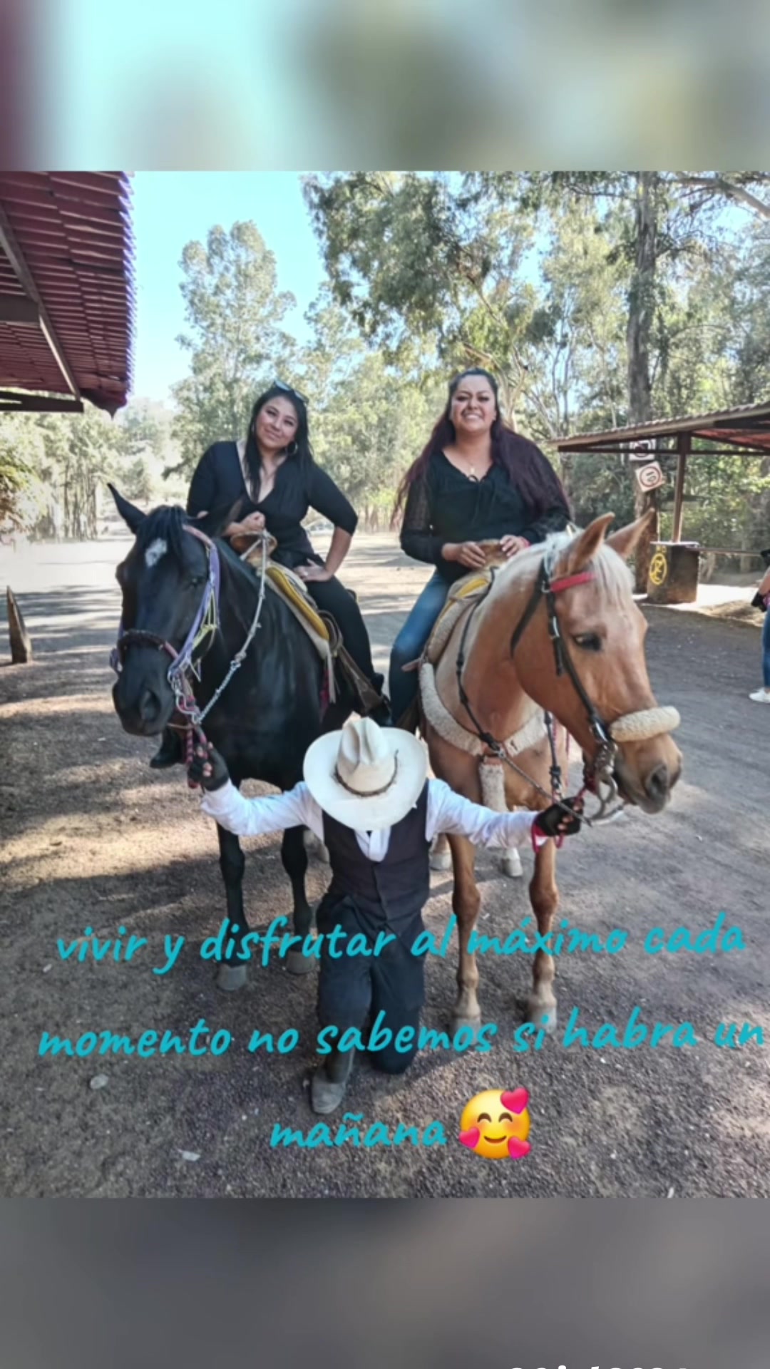 @melycasales
