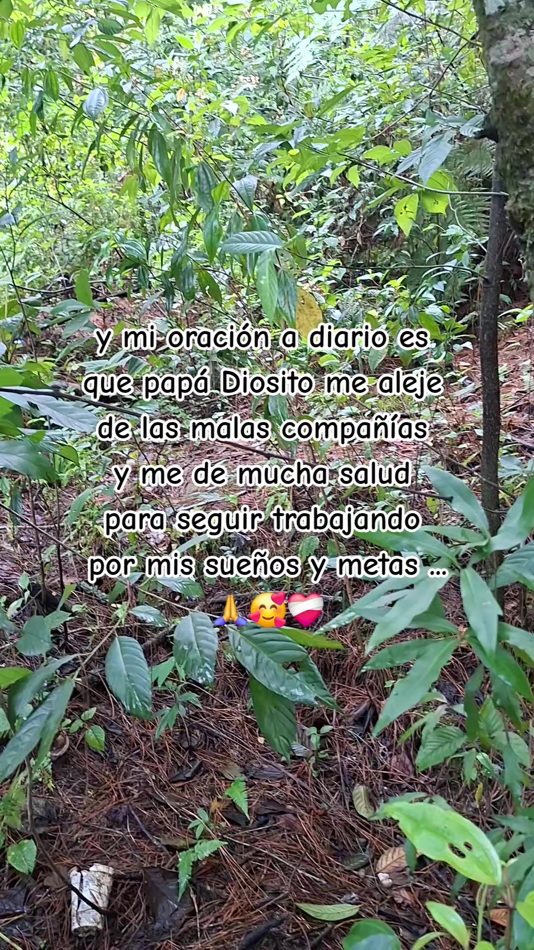 @Fer Zo